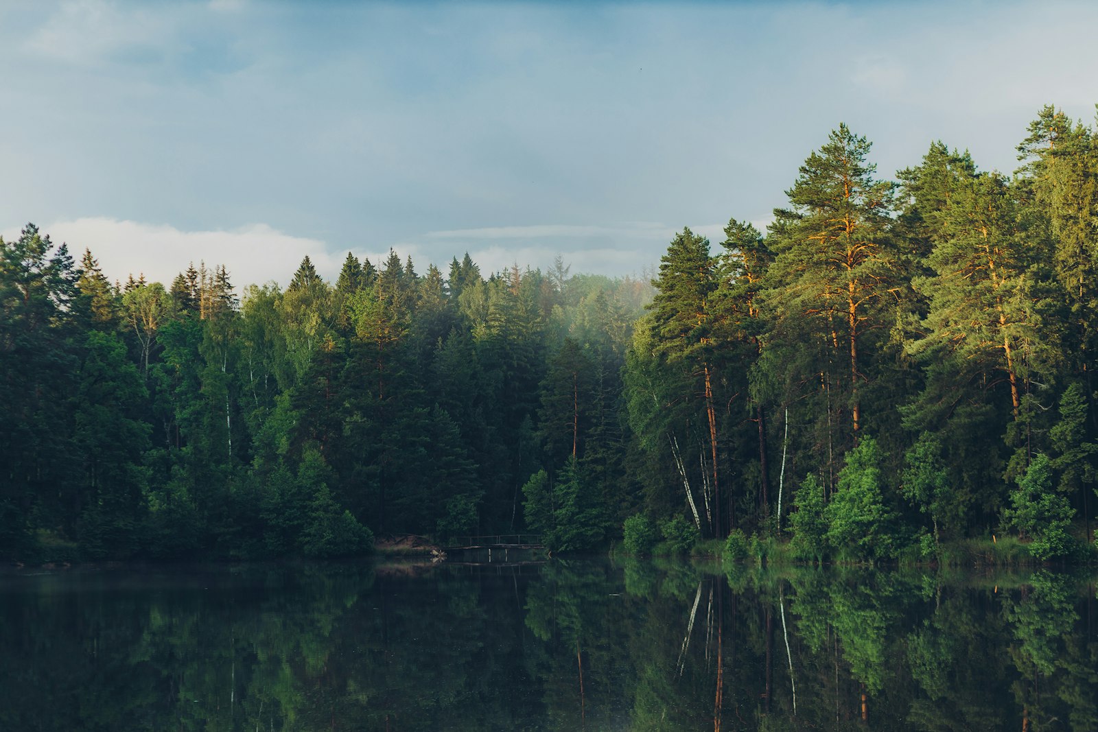 Waldsee im Morgenlicht, umgeben von Fichten und Birken